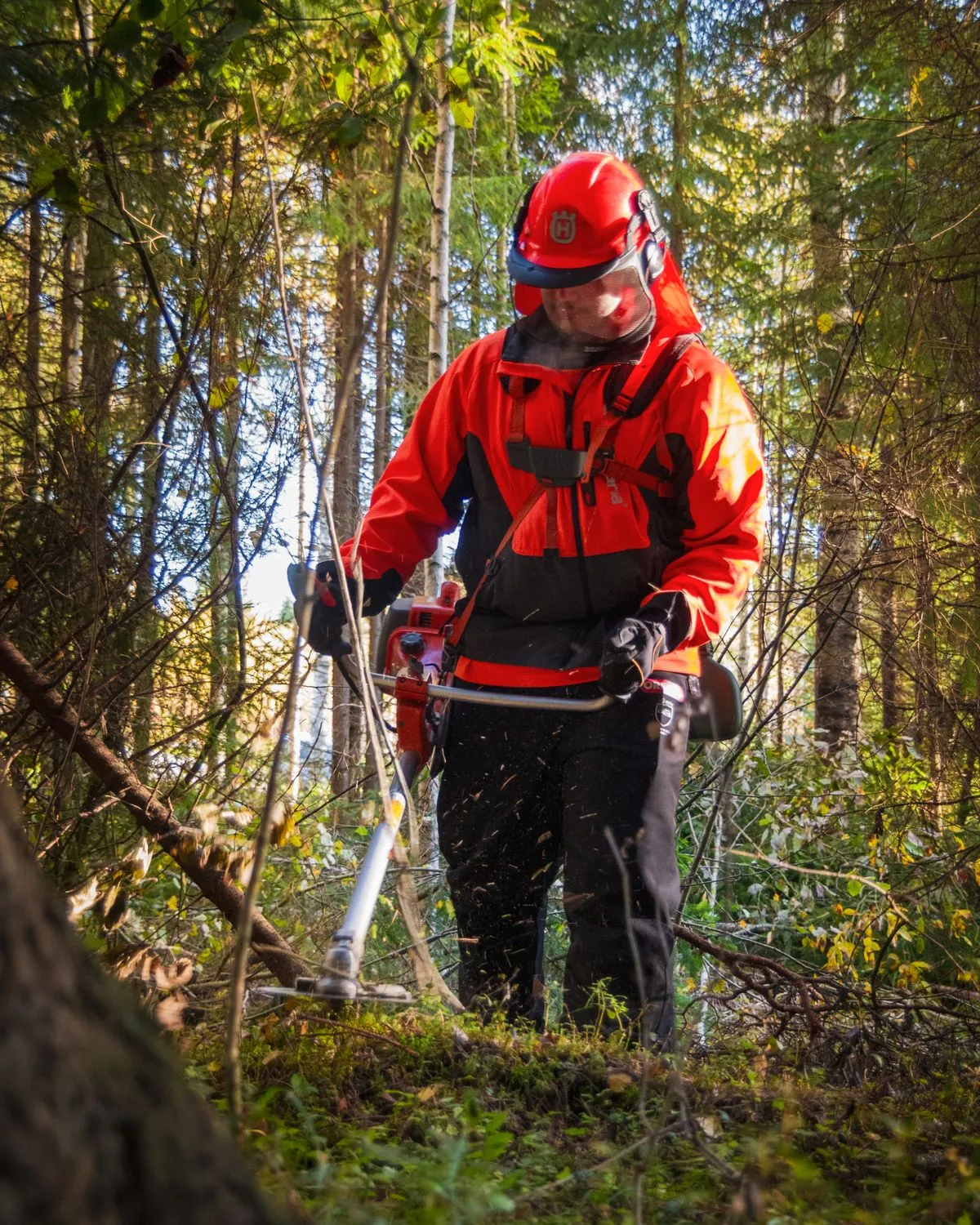 Worker using a brush cutter to clear dense vegetation